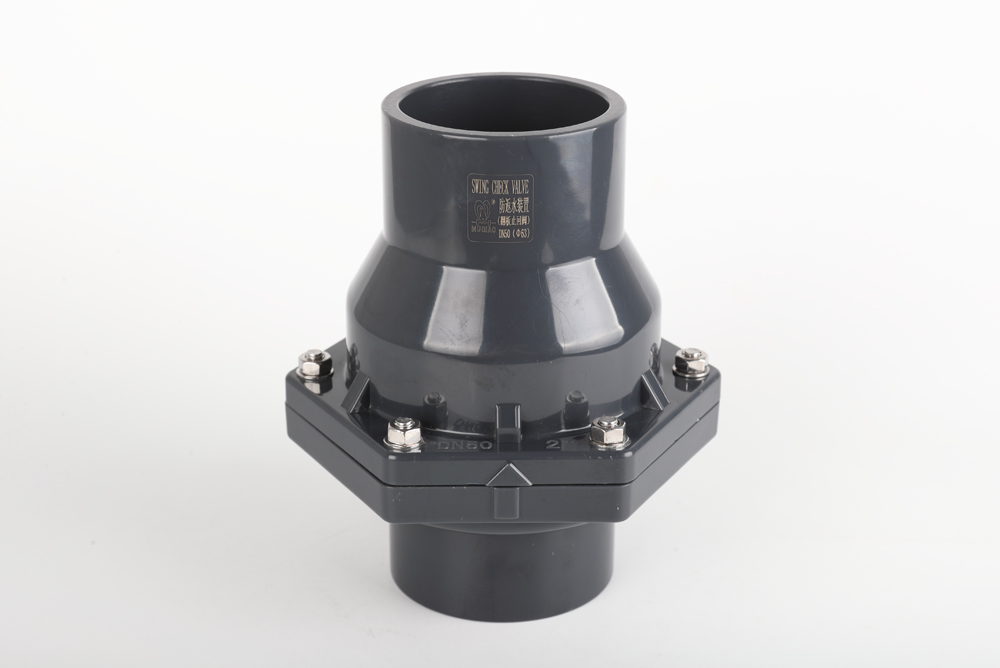 枫木镇翻板式止回阀